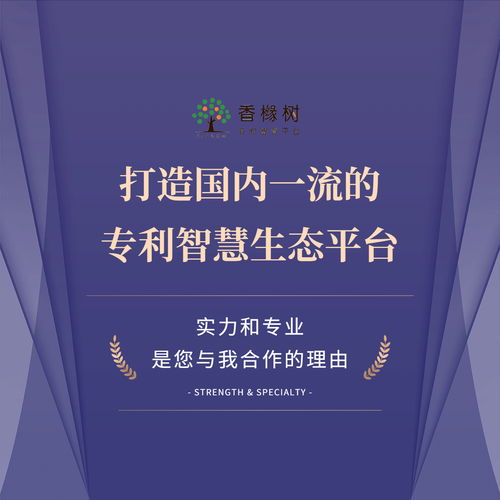 智航科泰攜手香櫞樹 知識產權領域為何青睞專業信息技術咨詢服務